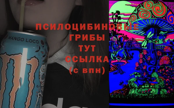 кристаллы Осинники